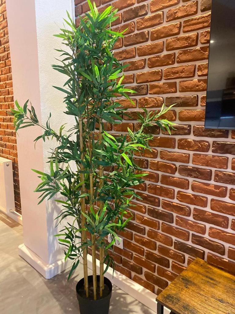 Luxurioese Loft Mit Garten Naehe Duesseldorf Messe Krefeld Exterior photo