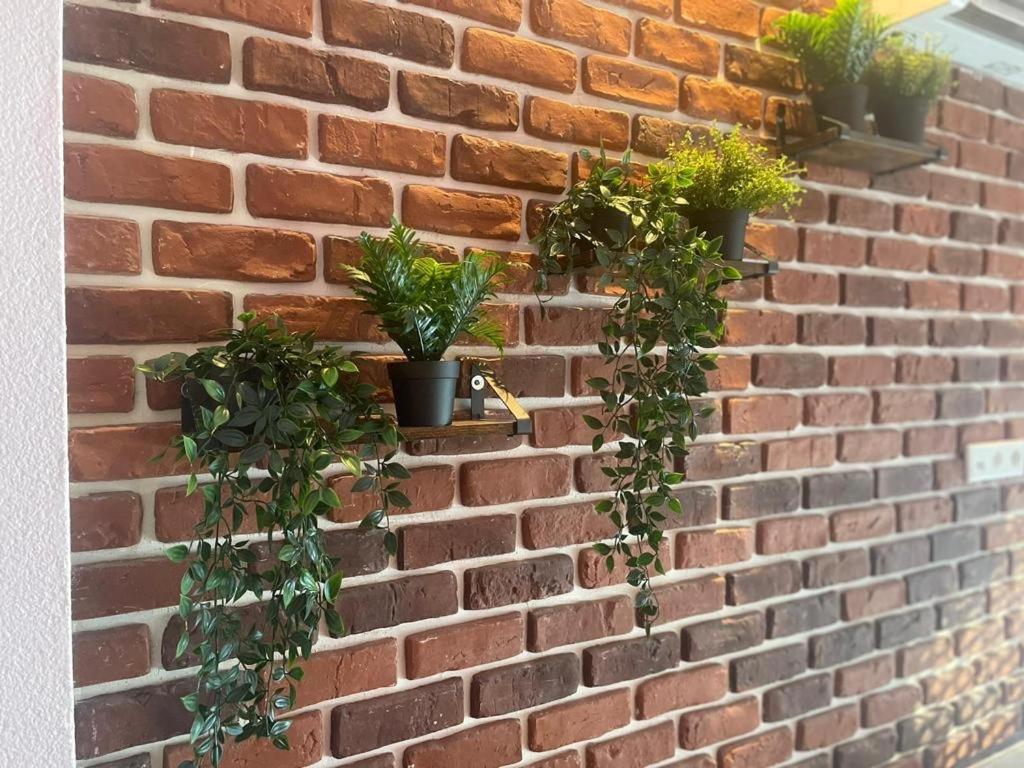 Luxurioese Loft Mit Garten Naehe Duesseldorf Messe Krefeld Exterior photo